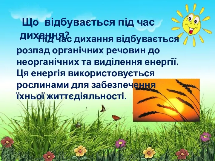 Під час дихання відбувається розпад органічних речовин до неорганічних та