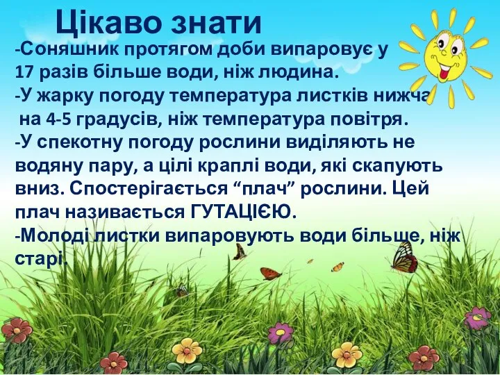 -Соняшник протягом доби випаровує у 17 разів більше води, ніж