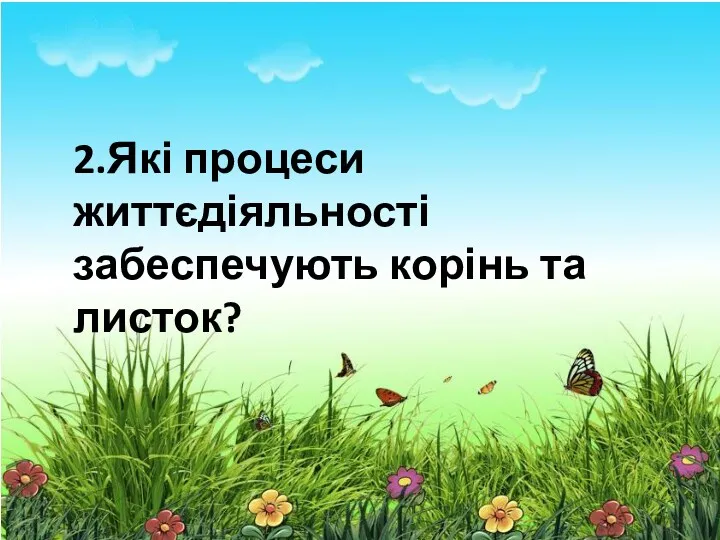 2.Які процеси життєдіяльності забеспечують корінь та листок?