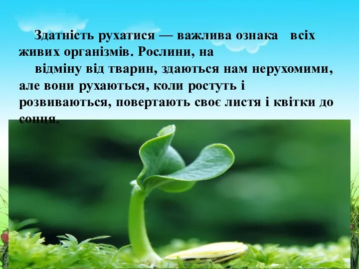 Здатність рухатися — важлива ознака всіх живих організмів. Рослини, на