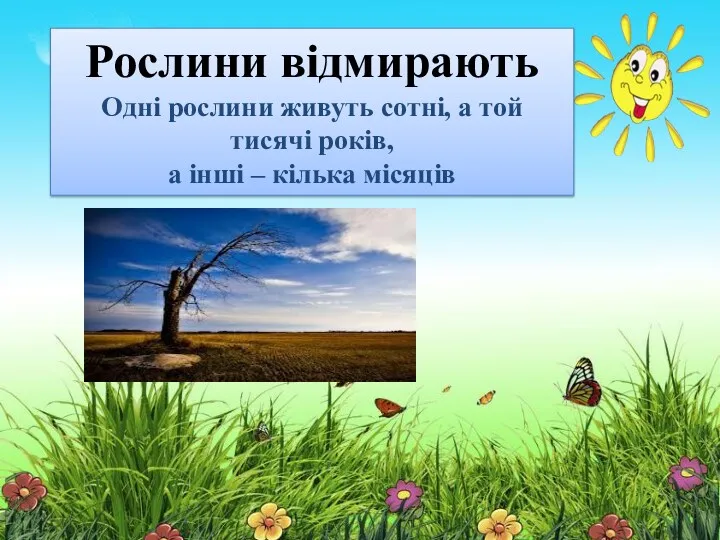 Рослини відмирають Одні рослини живуть сотні, а той тисячі років, а інші – кілька місяців