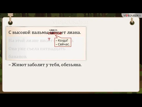 С высокой пальмы свисает лиана. На этой лиане висит обезьяна.