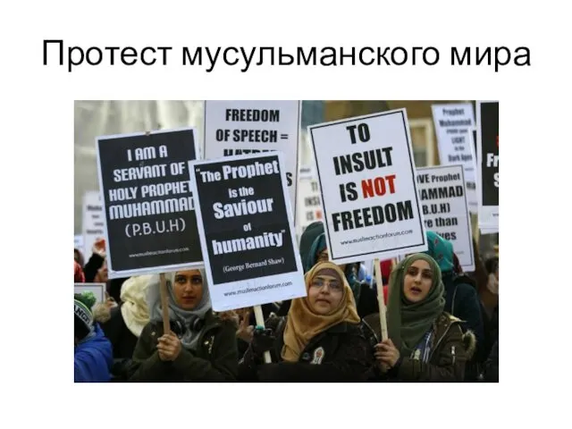 Протест мусульманского мира