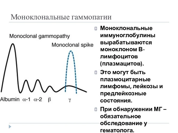 Моноклональные гаммопатии Моноклональные иммуноглобулины вырабатываются моноклоном В-лимфоцитов (плазмацитов). Это могут быть плазмоцитарные лимфомы,