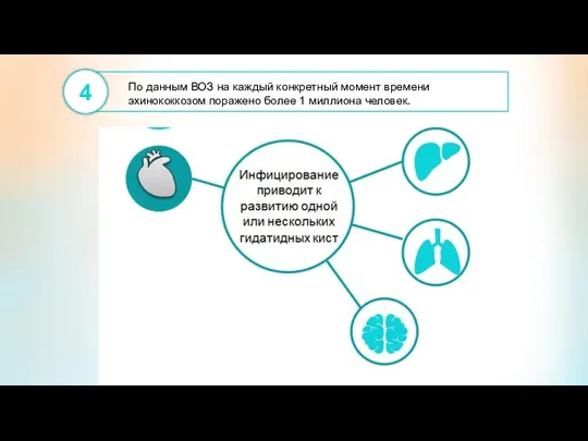 По данным ВОЗ на каждый конкретный момент времени эхинококкозом поражено более 1 миллиона человек. 4