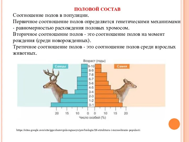 ПОЛОВОЙ СОСТАВ Соотношение полов в популяции. Первичное соотношение полов определяется генетическими механизмами -