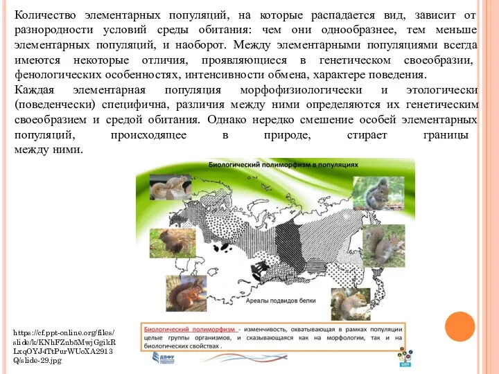 Количество элементарных популяций, на которые распадается вид, зависит от разнородности условий среды обитания: