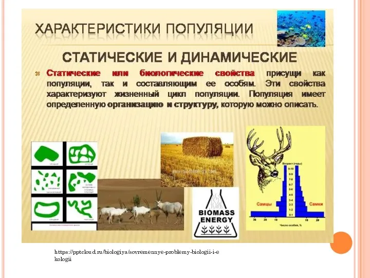 https://pptcloud.ru/biologiya/sovremennye-problemy-biologii-i-ekologii