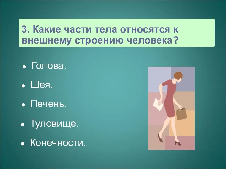 3. Какие части тела относятся к внешнему строению человека? Голова. Шея. Печень. Туловище. Конечности.