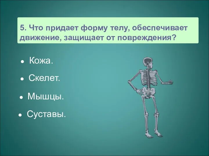 5. Что придает форму телу, обеспечивает движение, защищает от повреждения? Кожа. Скелет. Мышцы. Суставы.