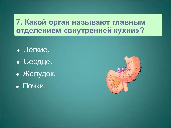 7. Какой орган называют главным отделением «внутренней кухни»? Лёгкие. Сердце. Желудок. Почки.