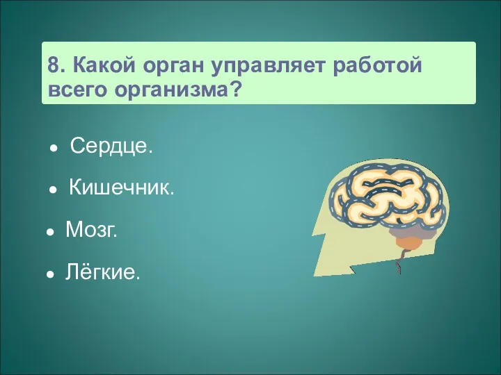 8. Какой орган управляет работой всего организма? Сердце. Кишечник. Мозг. Лёгкие.