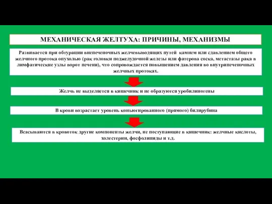 МЕХАНИЧЕСКАЯ ЖЕЛТУХА: ПРИЧИНЫ, МЕХАНИЗМЫ Развивается при обтурации внепеченочных желчевыводящих путей