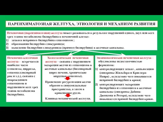 ПАРЕНХИМАТОЗНАЯ ЖЕЛТУХА, ЭТИОЛОГИЯ И МЕХАНИЗМ РАЗВИТИЯ Печеночная (паренхиматозная) желтуха может