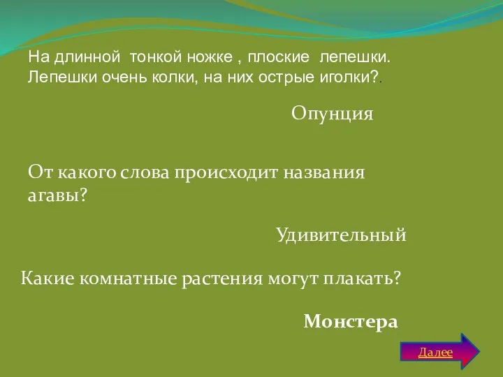 На длинной тонкой ножке , плоские лепешки. Лепешки очень колки, на них острые