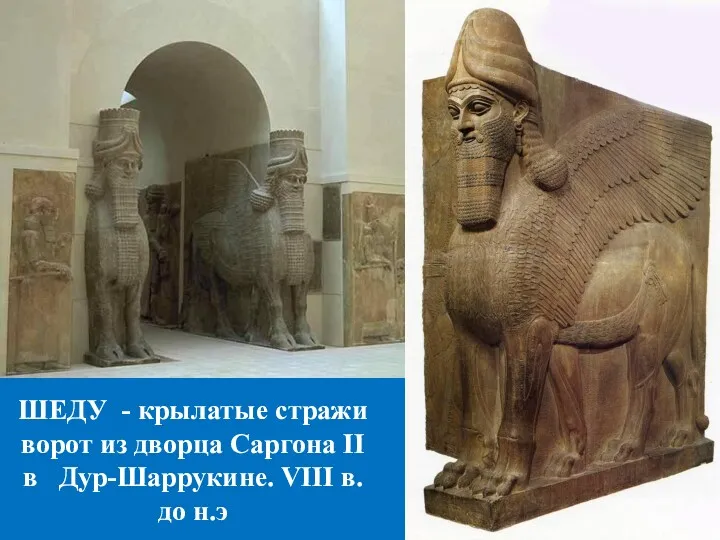 ШЕДУ - крылатые стражи ворот из дворца Саргона II в Дур-Шаррукине. VIII в. до н.э