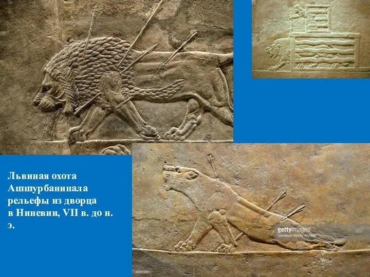 Львиная охота Ашшурбанипала рельефы из дворца в Ниневии, VII в. до н.э.