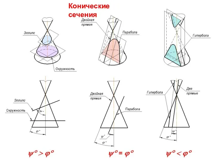 Конические сечения