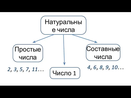 Число 1 Составные числа Натуральные числа Простые числа 2, 3,