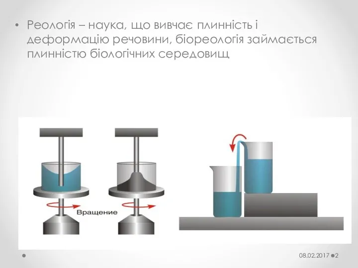 Реологія – наука, що вивчає плинність і деформацію речовини, біореологія займається плинністю біологічних середовищ 08.02.2017