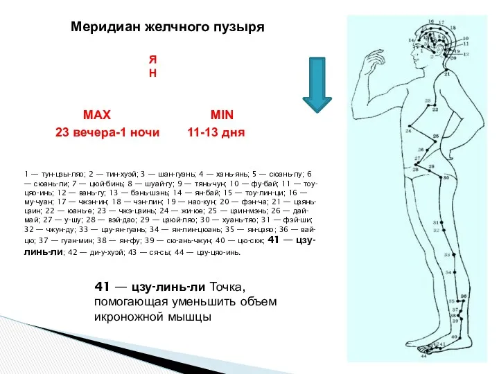 1 — тун-цзы-ляо; 2 — тин-хуэй; 3 — шан-гуань; 4