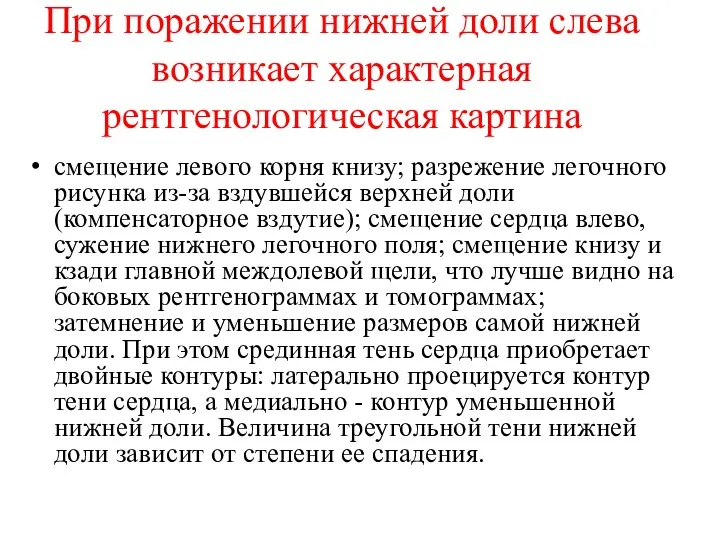 При поражении нижней доли слева возникает характерная рентгенологическая картина смещение левого корня книзу;