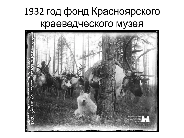 1932 год фонд Красноярского краеведческого музея