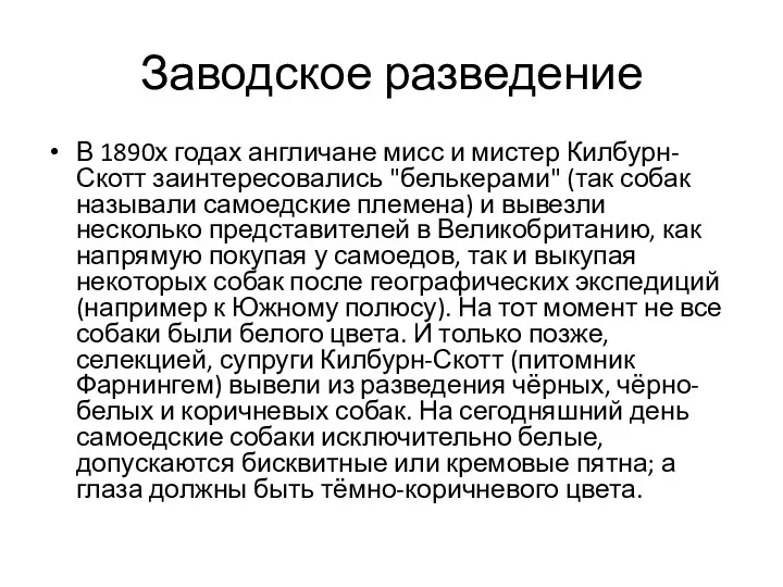 Заводское разведение В 1890х годах англичане мисс и мистер Килбурн-Скотт