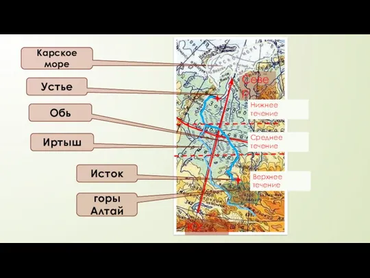 Север Юг Исток Устье горы Алтай Карское море Иртыш Обь Среднее течение Верхнее течение Нижнее течение