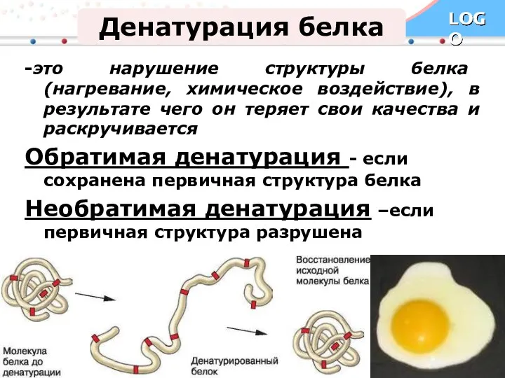 Денатурация белка -это нарушение структуры белка (нагревание, химическое воздействие), в