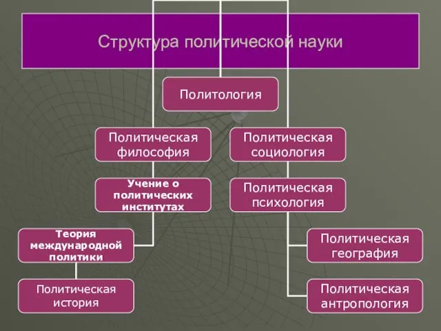 Структура политической науки