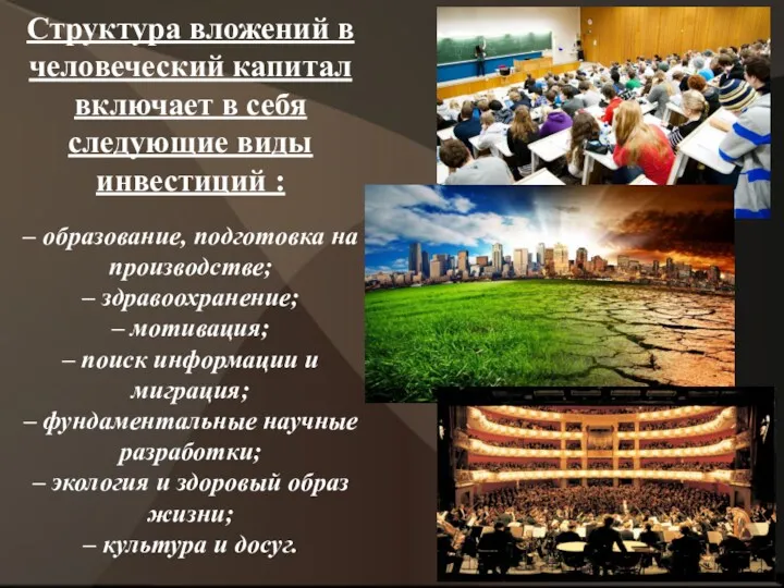 Структура вложений в человеческий капитал включает в себя следующие виды