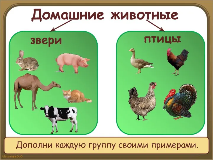 Домашние животные звери птицы Дополни каждую группу своими примерами.