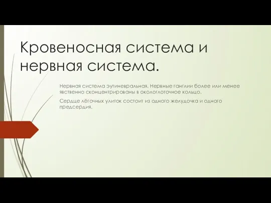 Кровеносная система и нервная система. Нервная система эутиневральная. Нервные ганглии