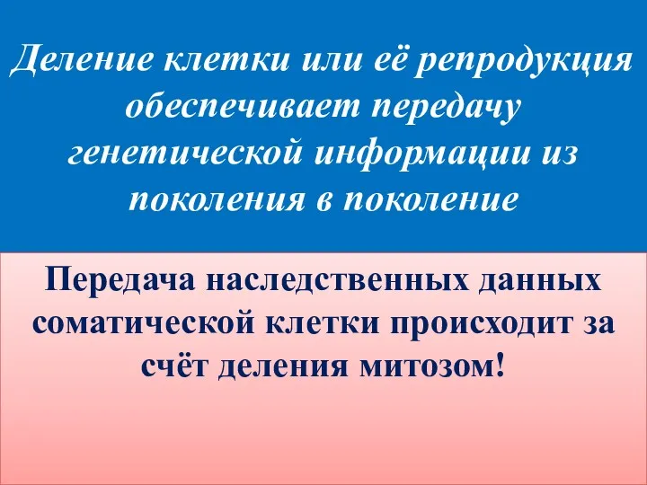 Деление клетки или её репродукция обеспечивает передачу генетической информации из