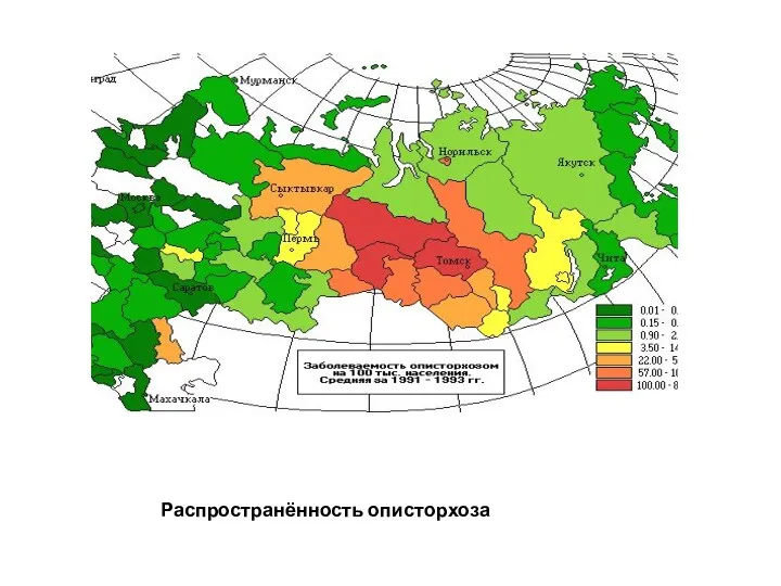 Распространённость описторхоза