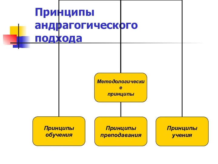 Принципы андрагогического подхода