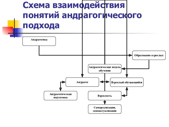 Схема взаимодействия понятий андрагогического подхода