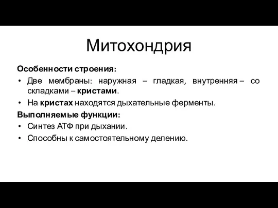 Митохондрия Особенности строения: Две мембраны: наружная – гладкая, внутренняя –