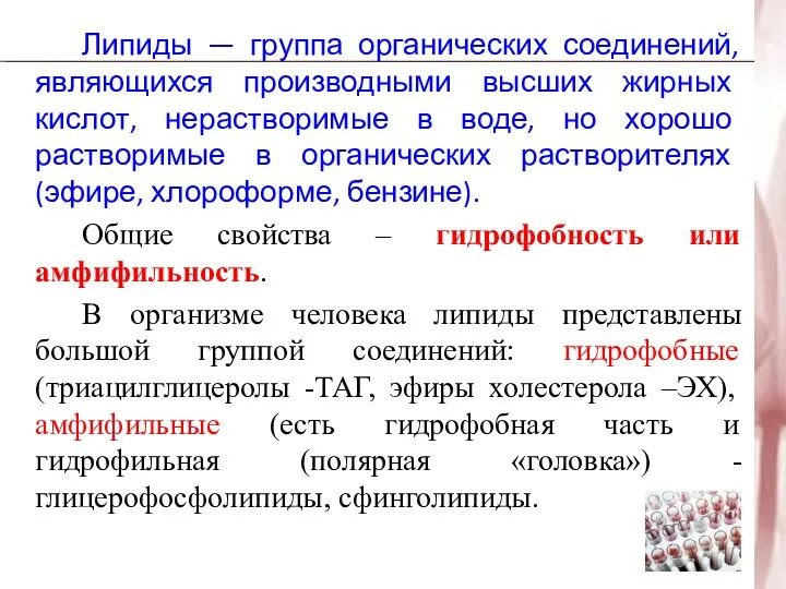 Липиды — группа органических соединений, являющихся производными высших жирных кислот,