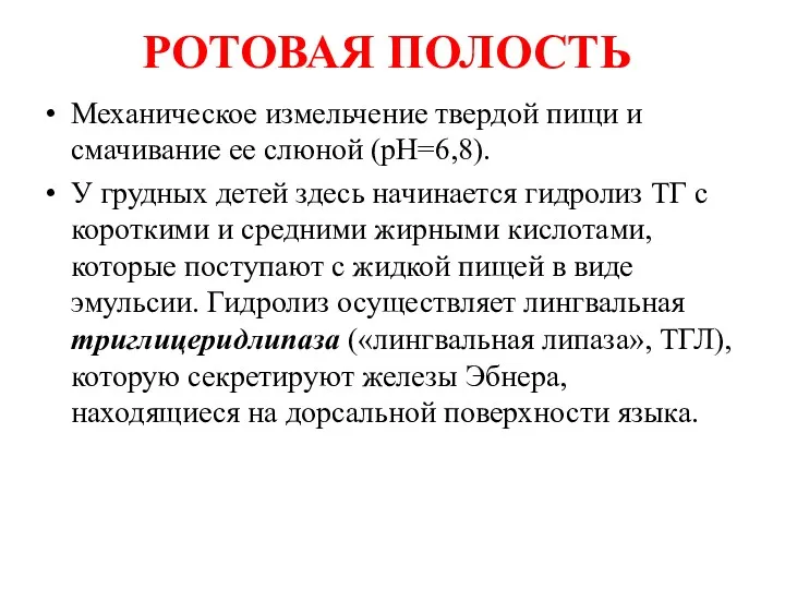 РОТОВАЯ ПОЛОСТЬ Механическое измельчение твердой пищи и смачивание ее слюной