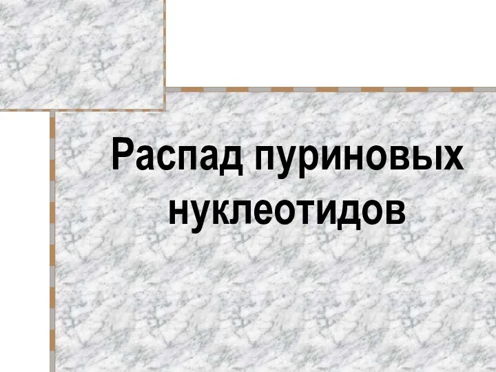 Распад пуриновых нуклеотидов