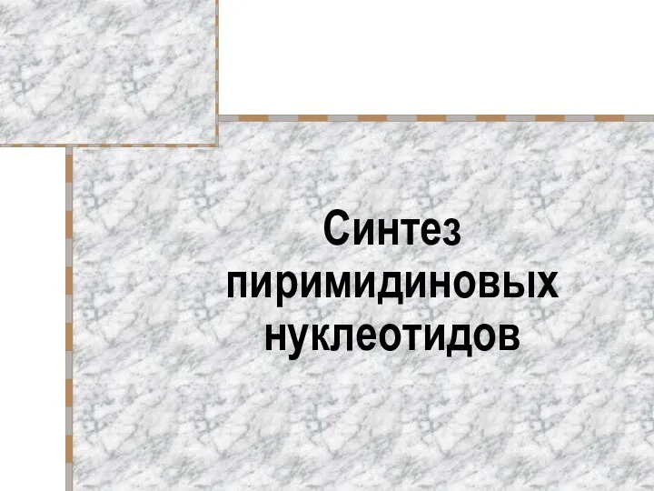 Синтез пиримидиновых нуклеотидов