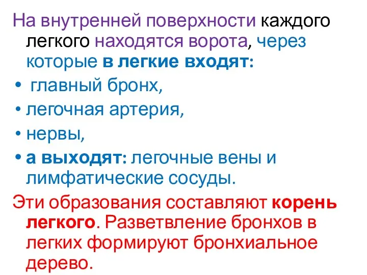 На внутренней поверхности каждого легкого находятся ворота, через которые в