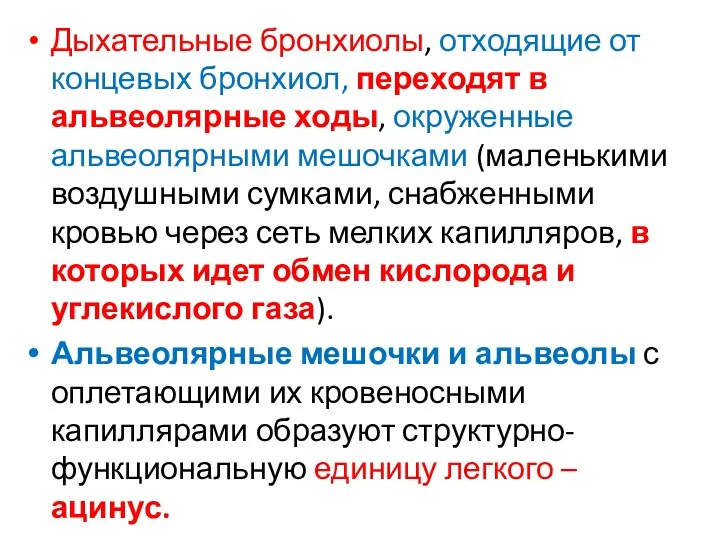 Дыхательные бронхиолы, отходящие от концевых бронхиол, переходят в альвеолярные ходы,