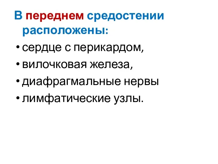 В переднем средостении расположены: сердце с перикардом, вилочковая железа, диафрагмальные нервы лимфатические узлы.