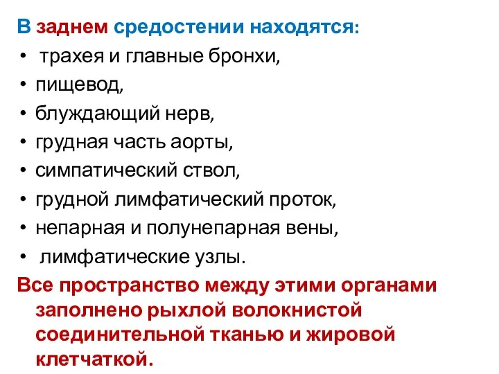 В заднем средостении находятся: трахея и главные бронхи, пищевод, блуждающий