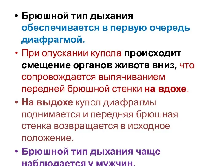 Брюшной тип дыхания обеспечивается в первую очередь диафрагмой. При опускании