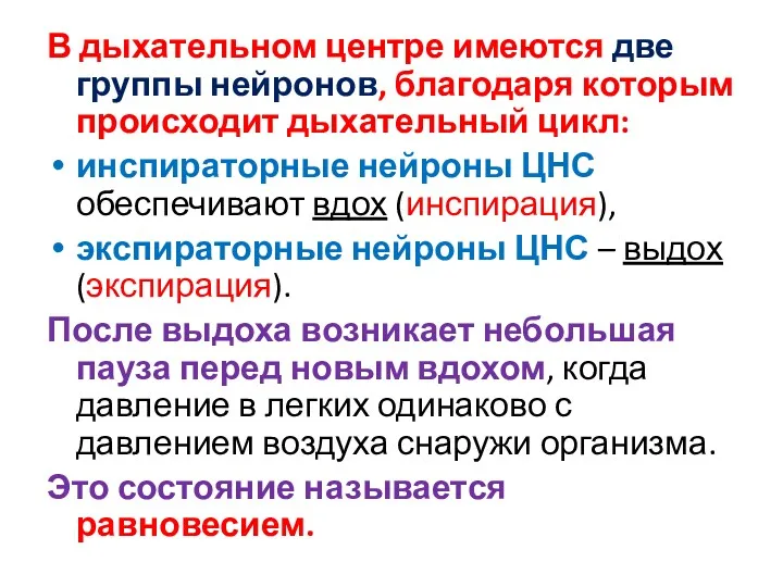 В дыхательном центре имеются две группы нейронов, благодаря которым происходит