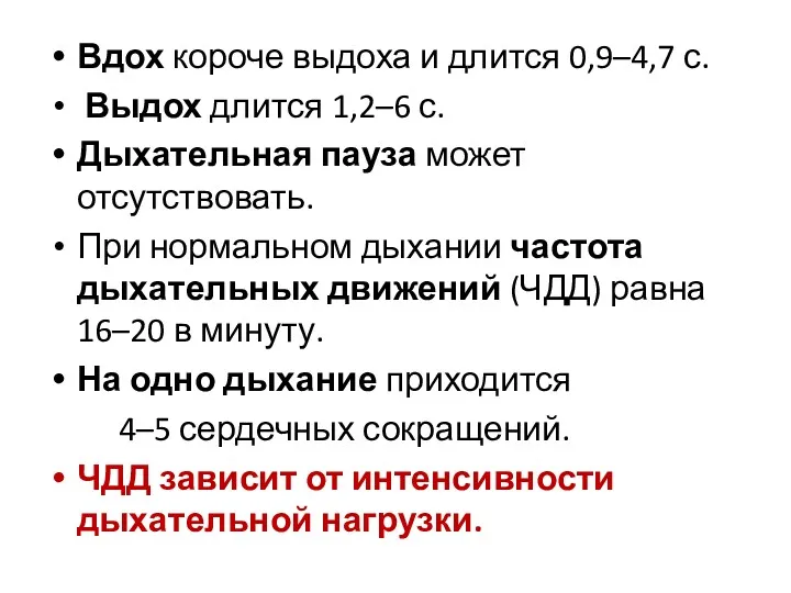 Вдох короче выдоха и длится 0,9–4,7 с. Выдох длится 1,2–6